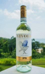 Vivolo Pinot Grigio Bottle