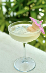 The TyLA Martini (Glass)