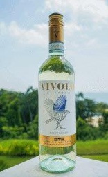 [Wine to go] Vivolo Pinot Grigio Bottle